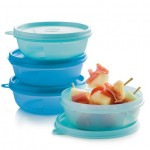 TUPPERWARE SAKLAMA KAPLARI