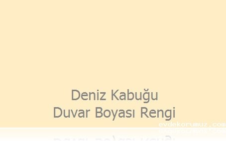 Ev Dekorumuz ~ Deniz Kabuğu Rengi Duvar Boyası ~ Ev Dekorasyonu