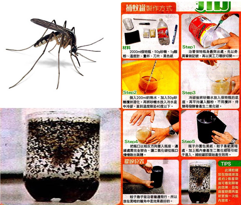 WEB KENTi: Sinek Kapanı (Mosquito Trap) Yapımı